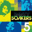 Cover Panty Soakers 5