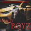 Cover Hardy Boyz