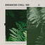 Cover Enhanced Chill: 100