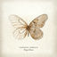 Cover Papillon