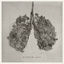 Cover Exhale You
