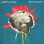Cover Old Balloons