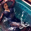 Cover Hawwa