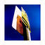 Cover porco rosso