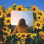 Cover summer depression