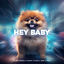 Cover Hey Baby (Drop it to the Floor) (Techno Version)