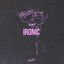 Cover Ironic