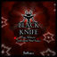 Cover Black Knife (From "Deltarune")