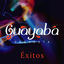 Cover Guayaba Orquesta Éxitos, Vol.1