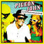 Cover Pigeon John and the Summertime Pool Party