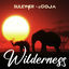 Cover Wilderness