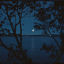 Cover Blue