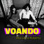 Cover Voando (Nel Blu Dipinto Di Blu)