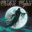 Cover Moon Fire