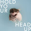 Cover Hold Your Head Up