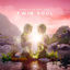 Cover Twin Soul