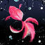 Cover fish