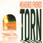 Cover Torn