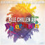 Cover Alle chillen am Ballermann