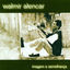 Cover Imagem e Semelhança