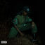 Cover Back to the Woods