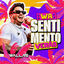 Cover Sentimento de Verão