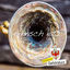 Cover Spinnsch iatz?