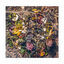 Cover Dissolve Me