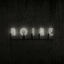 Cover Noire