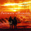 Cover Intimate Moments