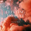 Cover A Fleeting Moment
