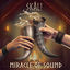 Cover Skal