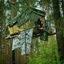 Cover Wald statt Asphalt