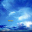 Cover Soar