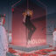 Cover HOUDINI
