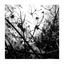 Cover Irradiance