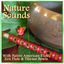Cover Nature Sounds with Native American Flute, Tibetan Bowls & Zen Flutes (for massage, reiki, yoga, new age relaxation & spa)