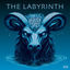 Cover The Labyrinth