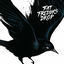 Cover Blackbird