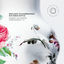 Cover Robert Schumann: Symphonien 1 - 4