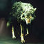 Cover Wolf In Sheep's Clothing [REBORN]