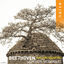 Cover Beethoven: The Late Quartets, Op. 127 - 135