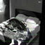 Cover panic attack in bed