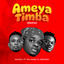 Cover Ameyatimba (Remix)