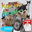 Cover Kop Van De Kat