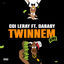 Cover TWINNEM (Remix)