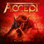 Cover Blind Rage