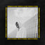 Cover Cash