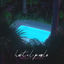 Cover Nightshade
