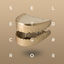 Cover Shir Khan Presents Secret Gold, Vol. 8